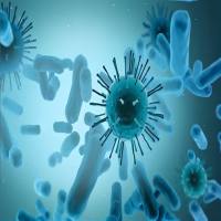 叶酸靶向盐酸阿霉素脂质体制备 叶酸PEG衍生物 