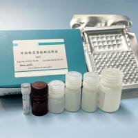 外泌体定量检测试剂盒