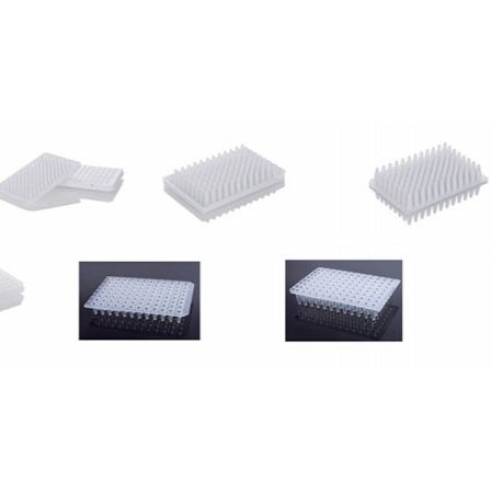 PCR96孔板 BLTR2111