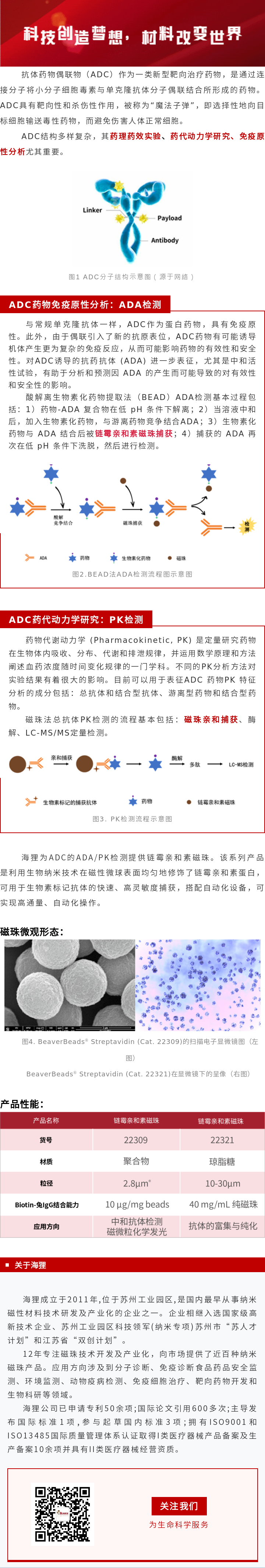 纳米磁珠：ADC药物的ADA/PK评价工具