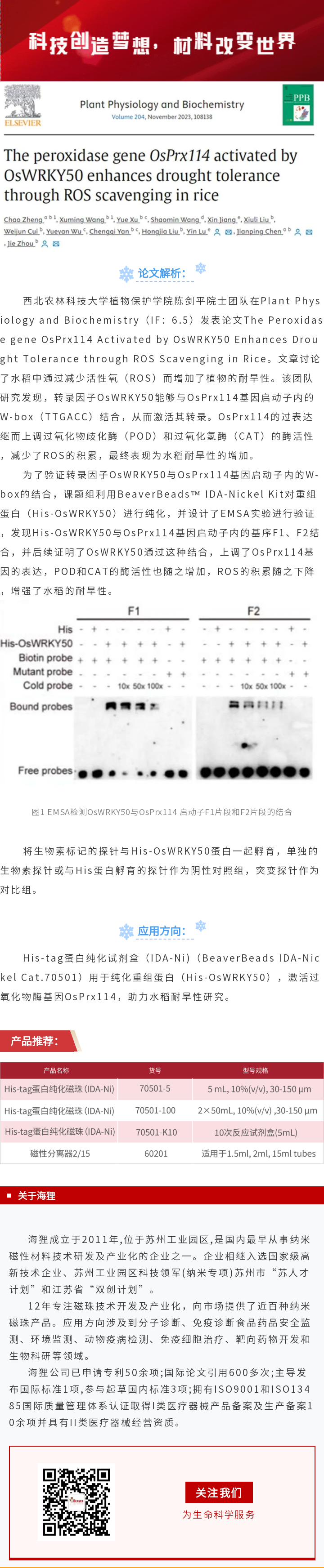 论文解析 ∣ 海狸磁珠助力水稻抗旱研究