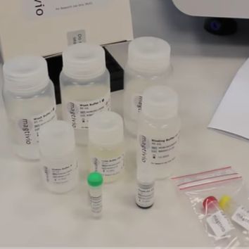 MagSi 核酸提取与纯化试剂盒