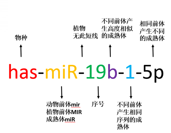 新闻图片2