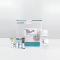 外泌体小核酸（miRNA、siRNA、ASO）过表达或装载试剂盒--ExoLoad®