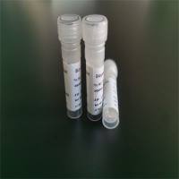 多肽合成、抗体定制及蛋白表达