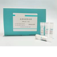 支原体预防试剂（2000×）