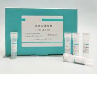 黑胶虫清除剂500X