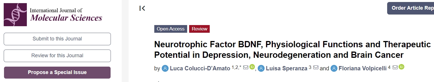 神经营养因子 BDNF、抑郁症、神经退行性变和脑癌的生理功能和治疗潜力