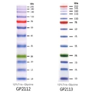 Genview 3-color Prestained Protein Marker II  三色预染蛋白Marker II  (10-245KD)