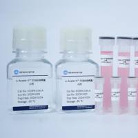 新品推荐｜o-Avatar-L™ hiPSC诱导分化肝类器官试剂盒上新！