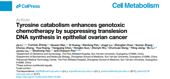 Cell Metabolism：中山大学团队首次揭示酪氨酸增强癌症化疗效果的背后机制！