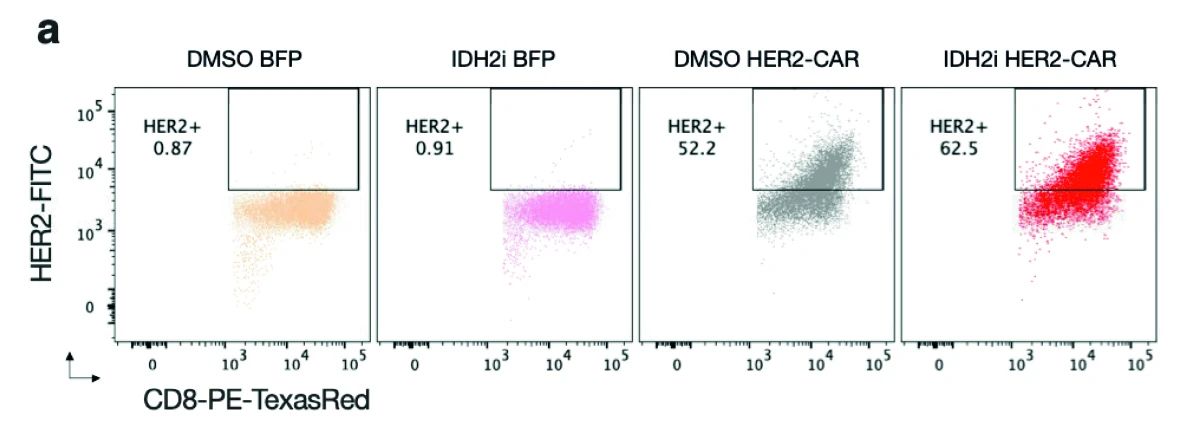 文献速递 | 义翘神州产品助力多篇Nature文章发表