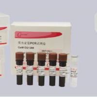 Genview试剂 SYBR Green PCR Premix HS Taq(Real Time)试剂 GR1201