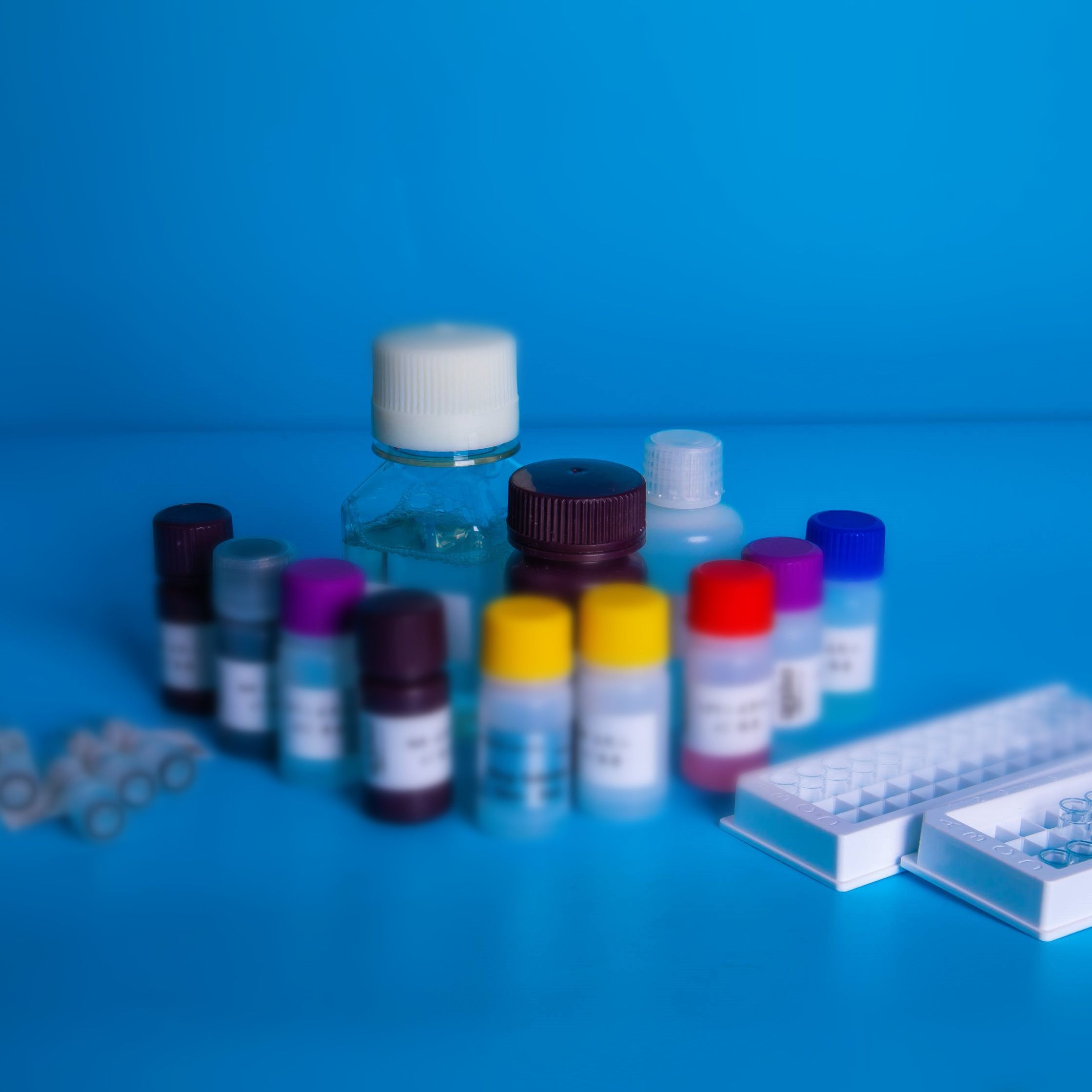 猪补体成分1q受体(C1qR1)ELISA测试盒