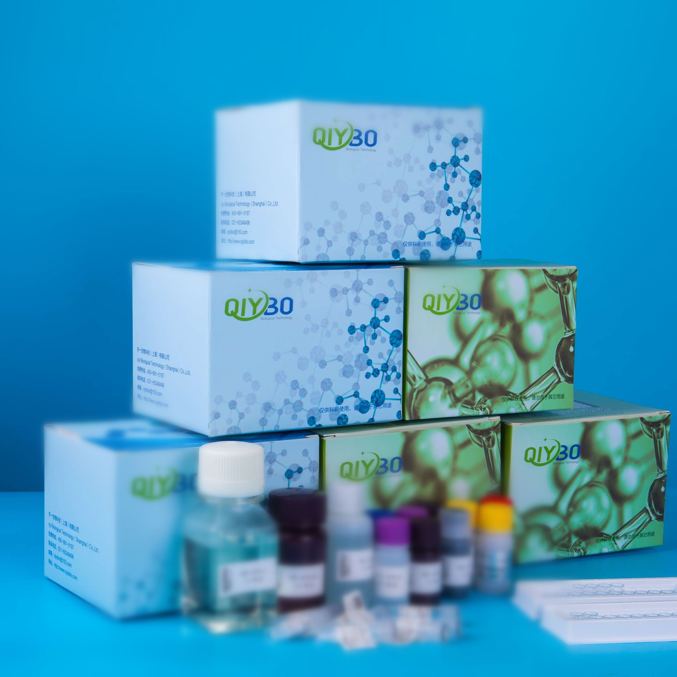 猪短腭肺鼻腔上皮癌关联蛋白2(SPLUNC2)ELISA测试盒