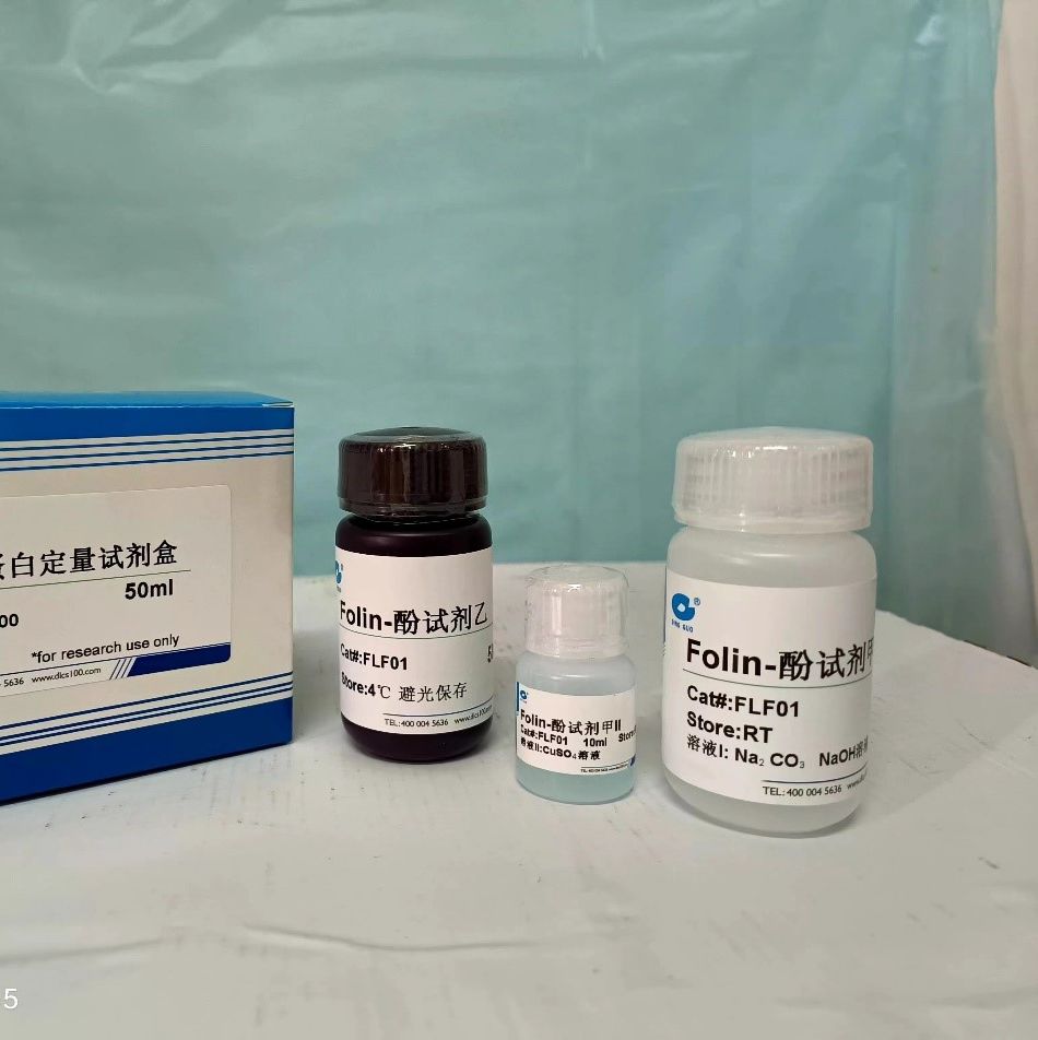 鼎国试剂  Folin-酚蛋白定量试剂盒试剂  FLF01