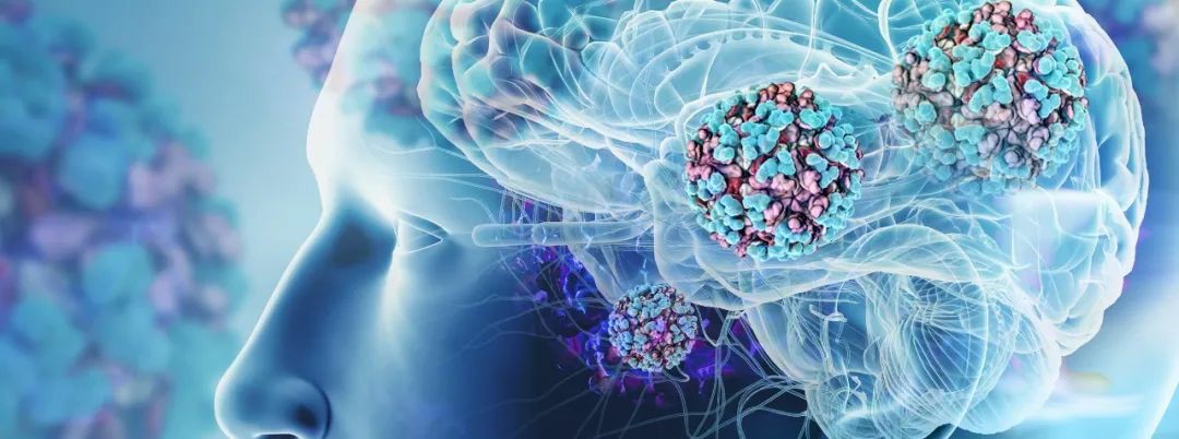 识别委内瑞拉马脑炎病毒非结构蛋白的重组单抗