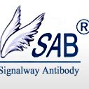 SAB代理：全线产品，欢迎来电咨询