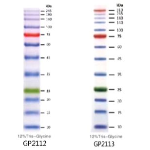 Genview 3-color Prestained Protein Marker III 三色预染蛋白Marker III  (10-310KD)