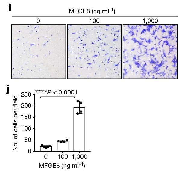 文献速递 | 义翘神州产品助力多篇Nature文章发表