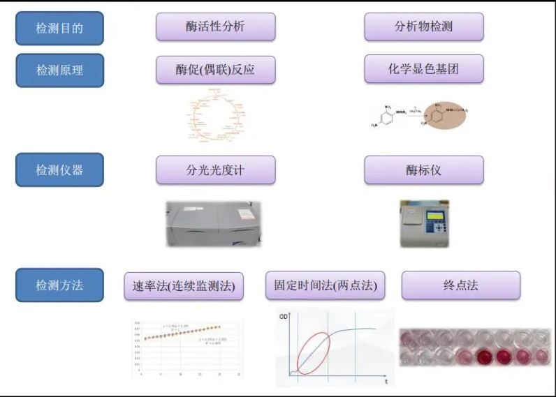 索莱宝自主创新生化试剂盒产品的创新与应用