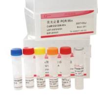 Genview试剂  RNase A   核糖核酸酶A试剂  ER281