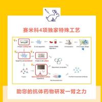 赛米科鼠单抗、兔单抗定制服务