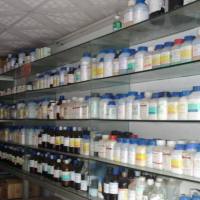 抗小鼠 MERTK (Mer) 荧光标记FITC 抗体