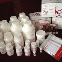 Genview试剂  EDTA试剂  LE568-1KG