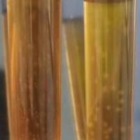 精氨酸支原体半流体培养基