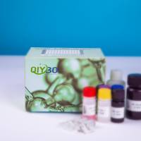 猪C-型凝集素域家族3成员B(CLEC3B)ELISA测试盒