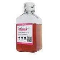 OriCell优级胎牛血清 FBSSR-01021-500