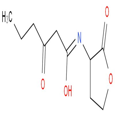 荧光素酶|9014-00-0