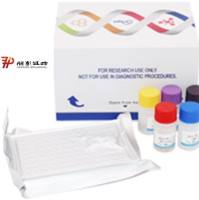 小鼠碱性成纤维生长因子(bFGF)酶联免疫试剂盒