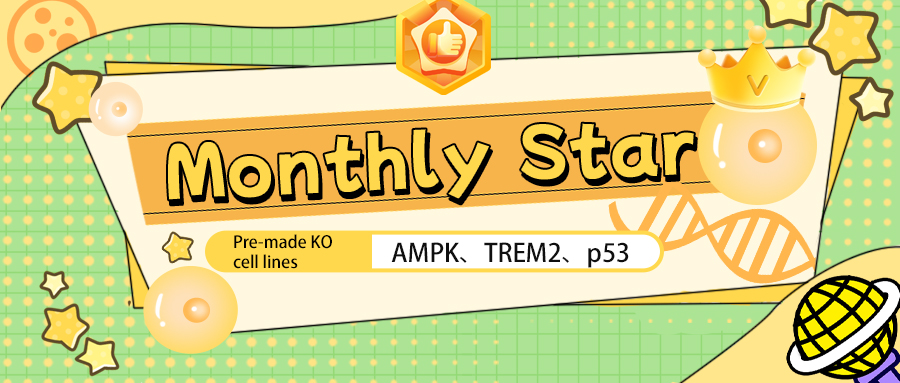 【本月之星】AMPK、TREM2、p53 基因敲除细胞