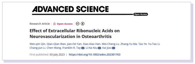 文献解读 | 细胞外核糖核酸对骨关节炎神经血管形成的影响