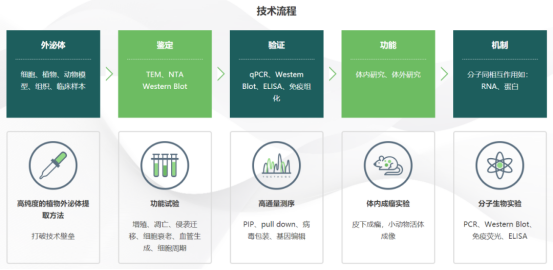 汇总| 可食用外泌体背后的故事之水果篇