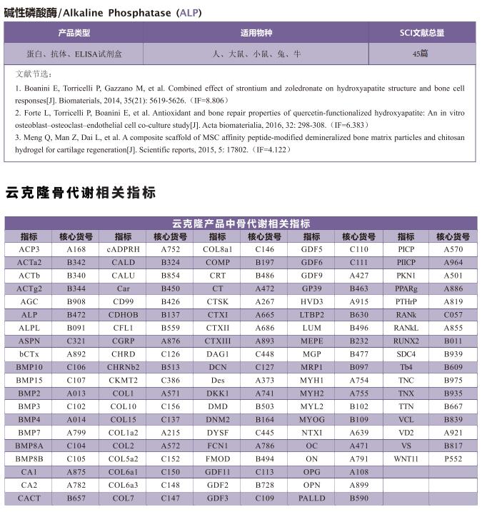 文献解读 | 细胞外核糖核酸对骨关节炎神经血管形成的影响
