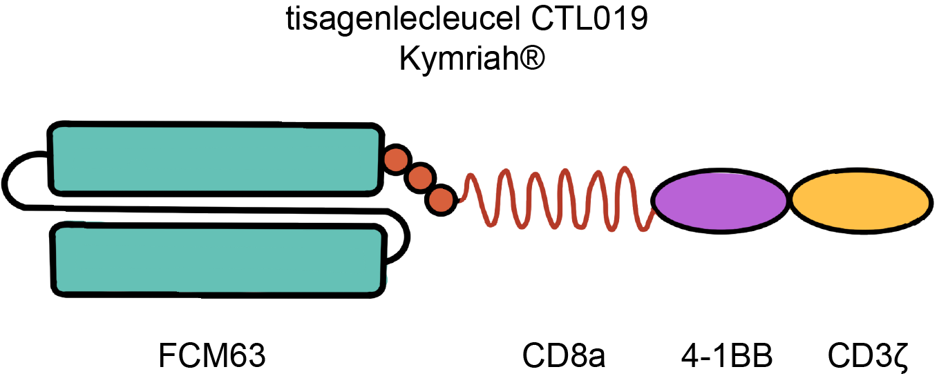 为何使用CRISPR/Cas9技术可以改进CAR-T细胞？