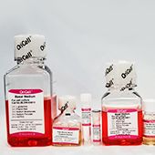 OriCell人相关干细胞成脂诱导分化试剂盒 HUXXC-90031
