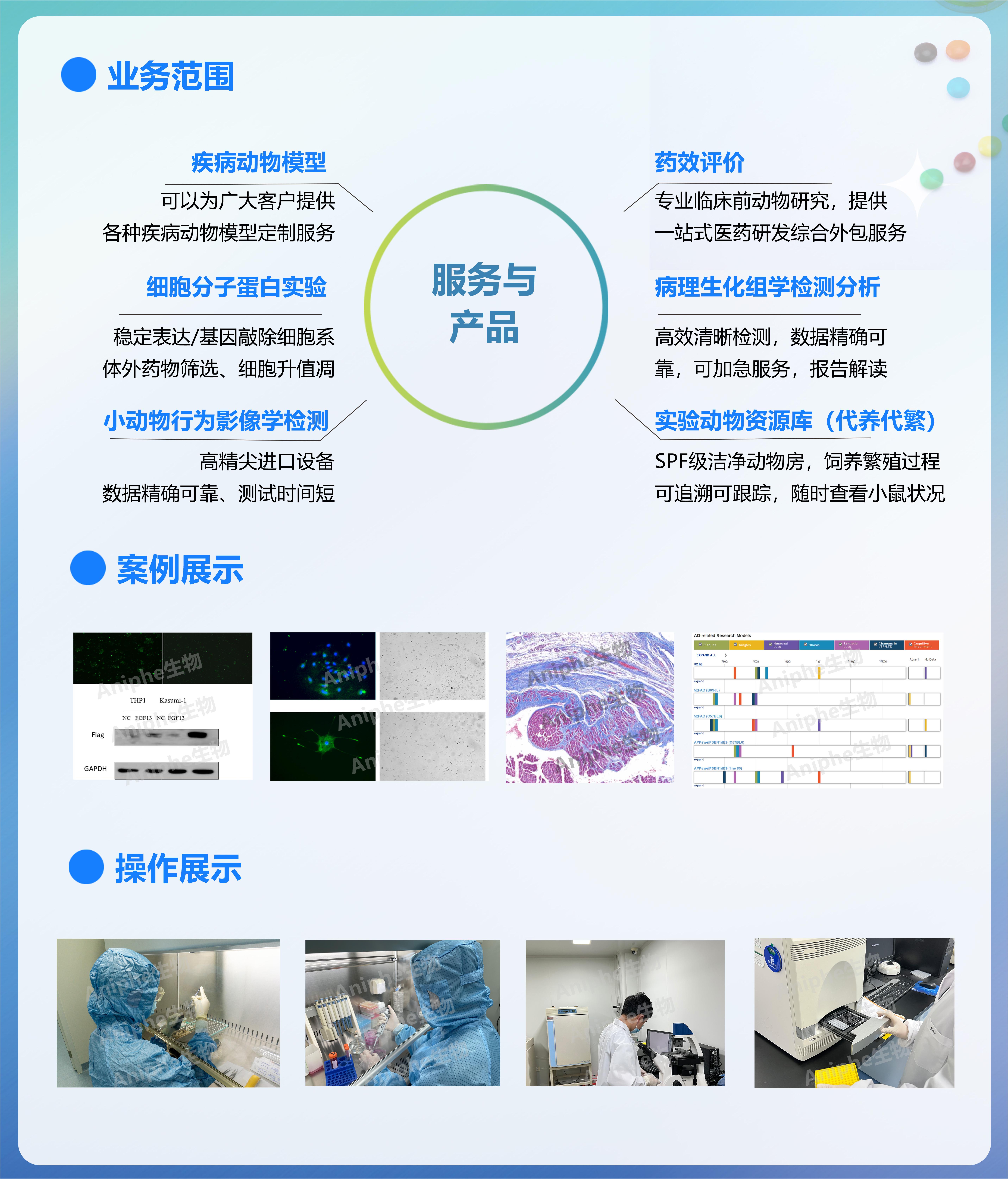 肺癌/肝癌/胃癌/乳腺癌/结肠癌等肿瘤模型