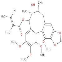 五味子酯乙&Schisantherin B&CAS:58546-55-7