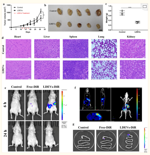 汇总| 可食用外泌体背后的故事之水果篇