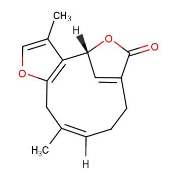 钓樟内酯&Linderalactone&CAS:728-61-0