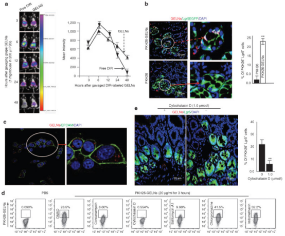 汇总| 可食用外泌体背后的故事之水果篇