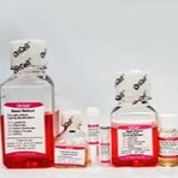 OriCell人相关干细胞成脂诱导分化试剂盒 HUXXC-90031