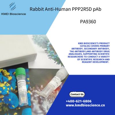 Rabbit Anti-Human PPP2R5D pAb