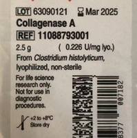 Roche货号11088793001胶原酶A上海睿安生物13611631389