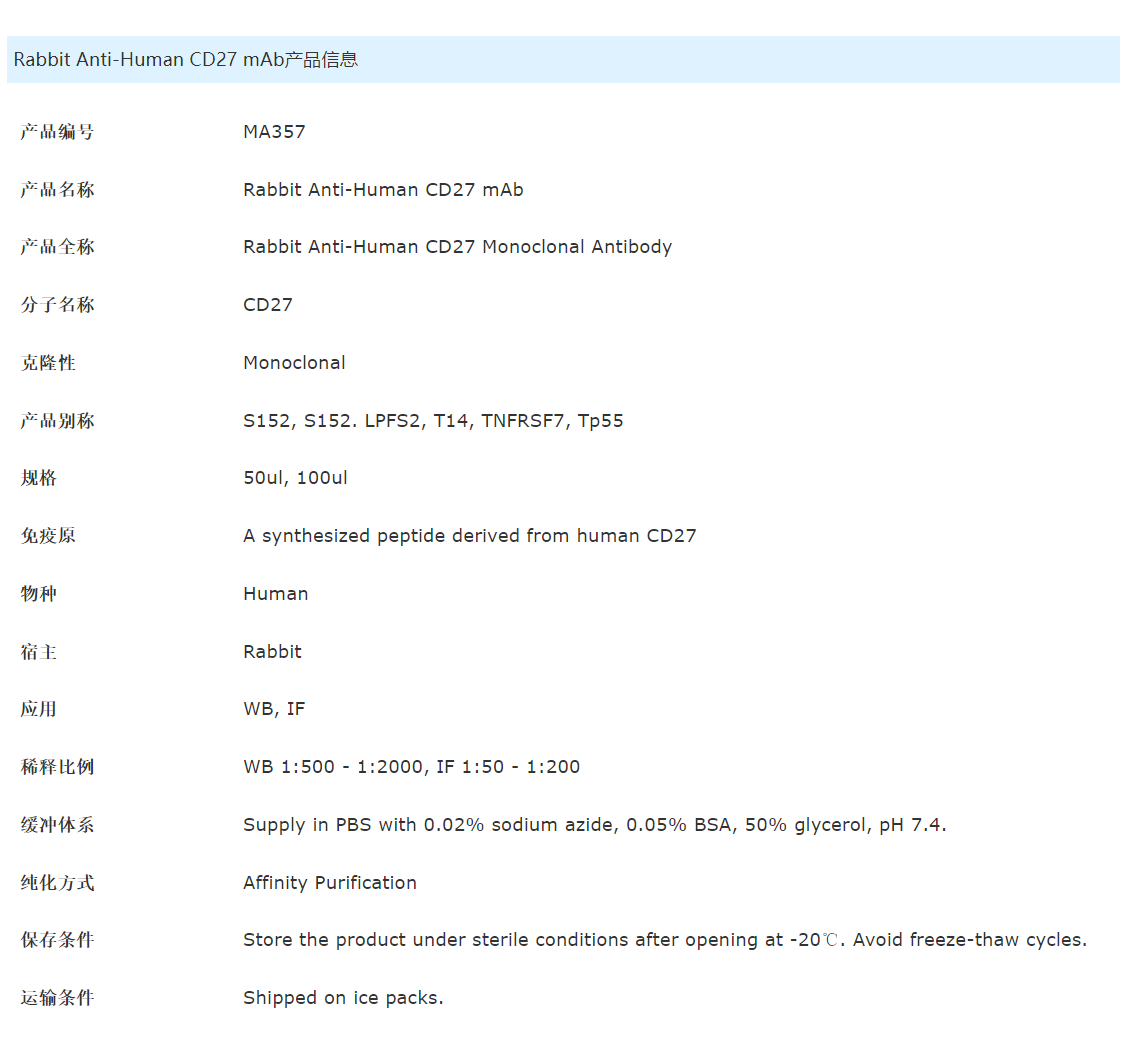 Rabbit Anti-Human CD27 mAb