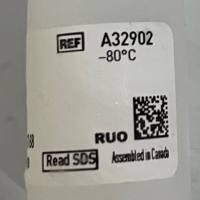 Invitrogen货号A32902现货Human PKMYT1，GST Tag Recombinant Protein上海睿安生物13611631389